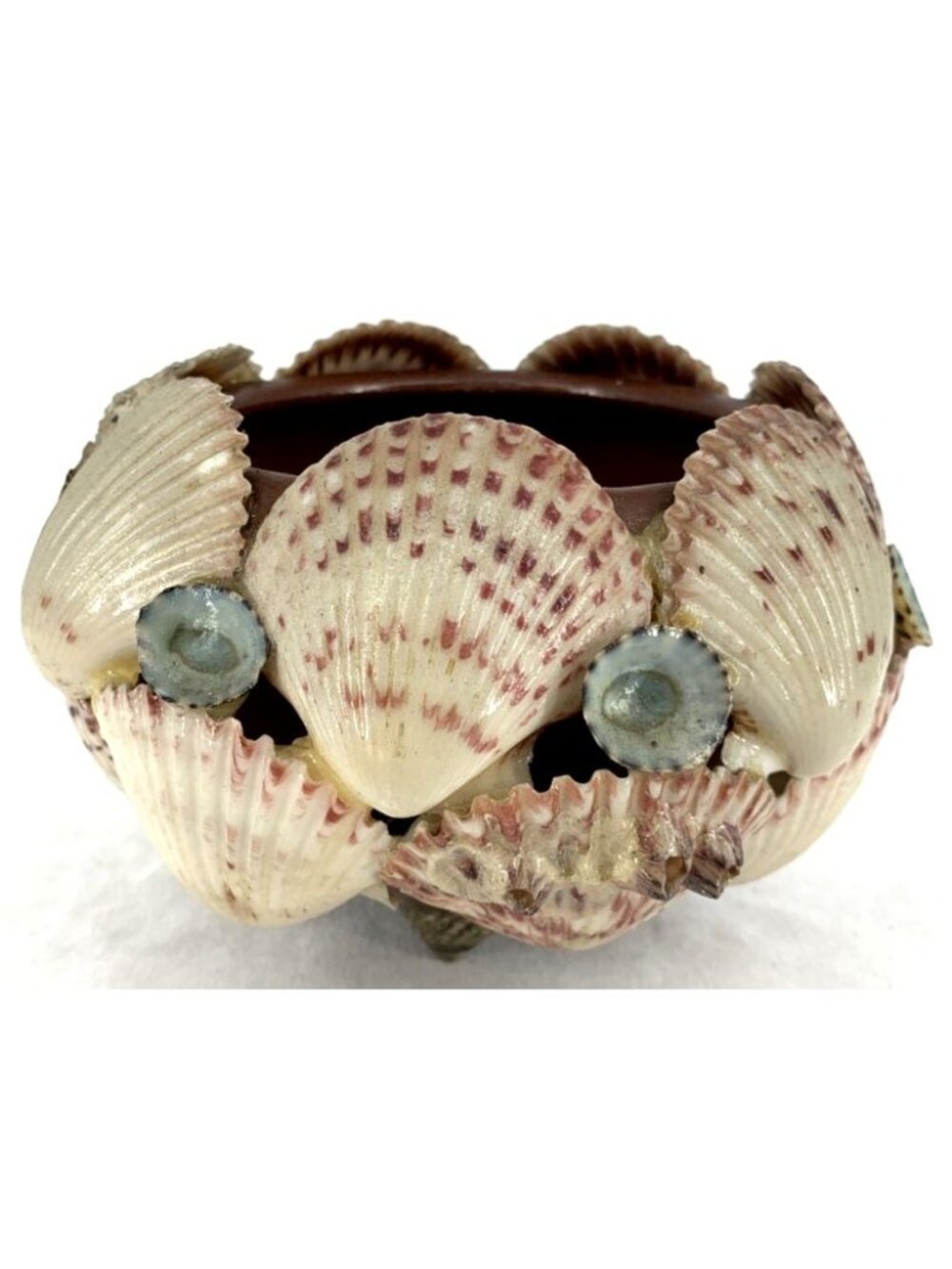 Terracotta Seashell Planter Bowl Scallop Shells Beach Coastal Centerpiece 5"